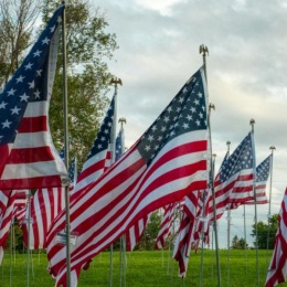 American flags