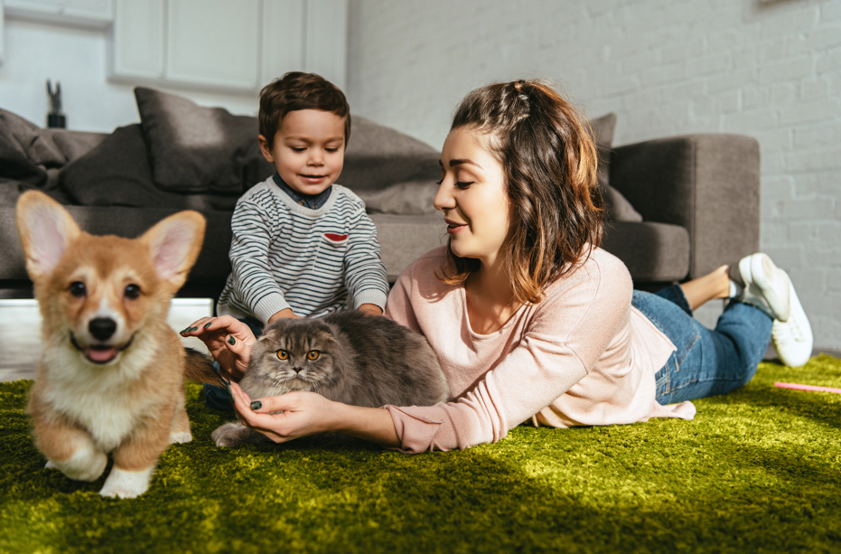 A mother and toddler playing on a green rug with their Corgi puppy and fluffy cat inside a living room at Creekside at Grand Prairie.